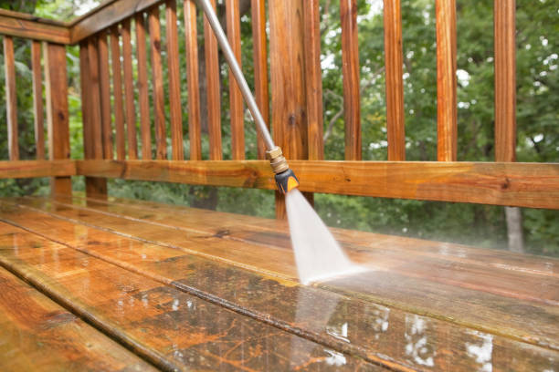 Best Sidewalk and Walkway Cleaning  in Stone Ridge, VA